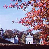 Arlington National Cemetery