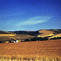 Wheat Farm, 1941