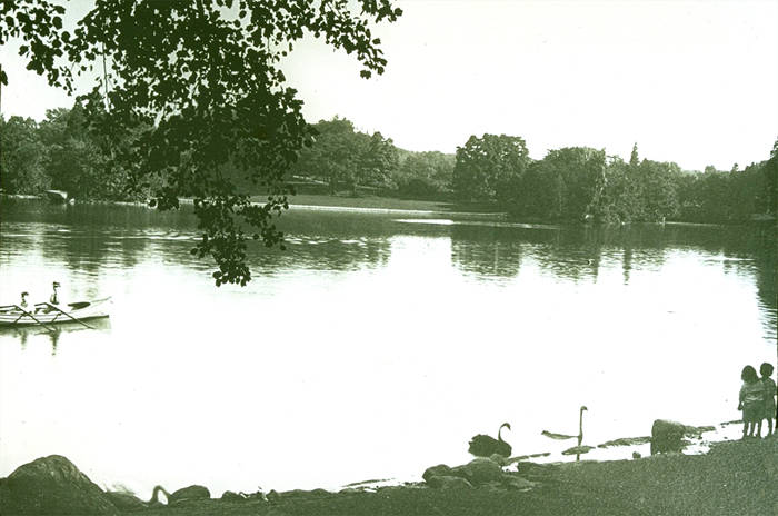 The lake in Central Park, NY, NY