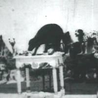 A screen shot from Stealing a Dinner