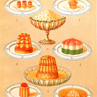 The New York Cook Book, 1892.