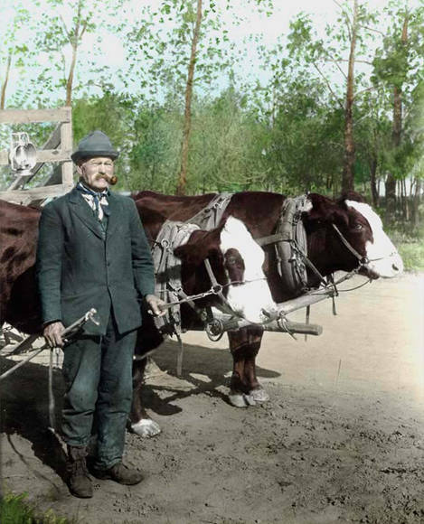 A Prize winning pair and their master.