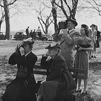 Onlookers snapping pictures of the cherry blossoms