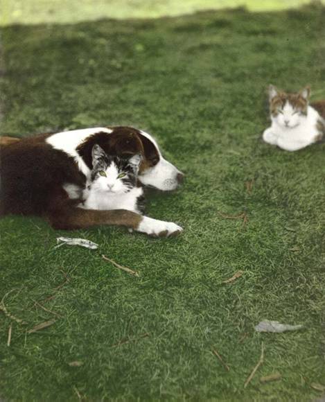 Two is Company, Three is a Crowd.