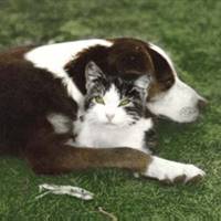 Two is Company, Three is a Crowd.