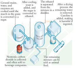 可再生能源成本下降
