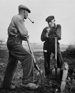 馬歇爾計畫幫助修築運送救援物資至關重要的道
路