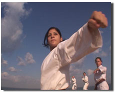 《沙迪亞》講述了一位生活在以色列北部一個穆斯林小村落中的十七歲世界女子空手道冠軍的故事