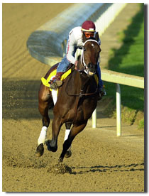 圖中是真實生活中的賽馬騎手史蒂文斯正在為2003年的肯德基大賽馬訓練。他在一部以三十年代為背景的故事片《奔騰年代》中扮演賽馬手。