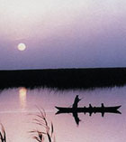 美索不達米亞南部沼澤地