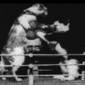 A screen shot from Thomas A. Edison, Inc.'s 'The boxing cats (Prof. Welton's).'