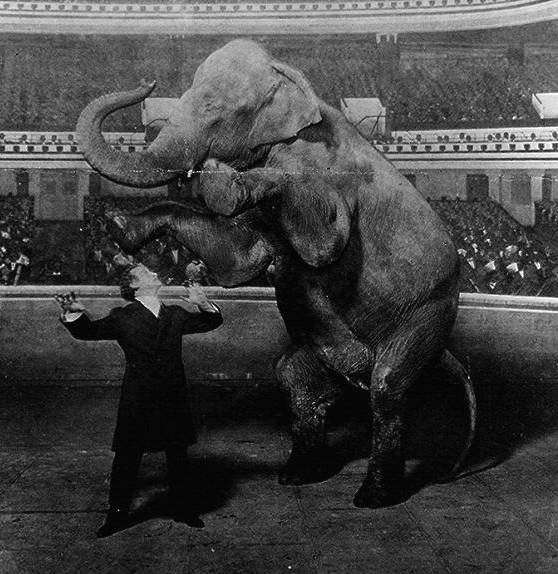 Houdini and Jennie, the elephant, performing at the Hippodrome, New York, 1918.
