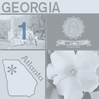graphic map, flower and images of Georgia