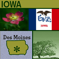 graphic map, flower and tree of Iowa