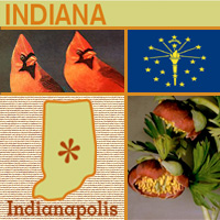 graphic map, bird and images of Indiana