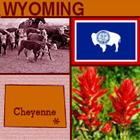 graphic map, flower and images of Wyoming