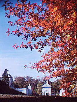 Arlington National Cemetery