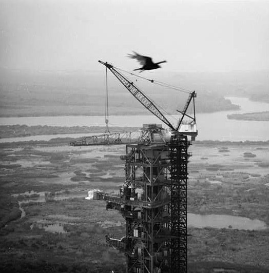 The Mobile Launcher One and Bird