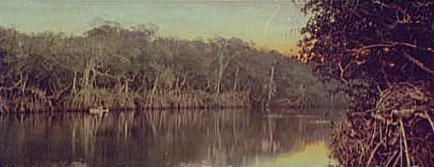 Sunset on the Ocklawaha, 1899