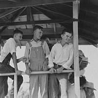 Boys in the judging stand watching the pie eating contest, 4-H Club fair, Cimarron, Kansas, 1939.